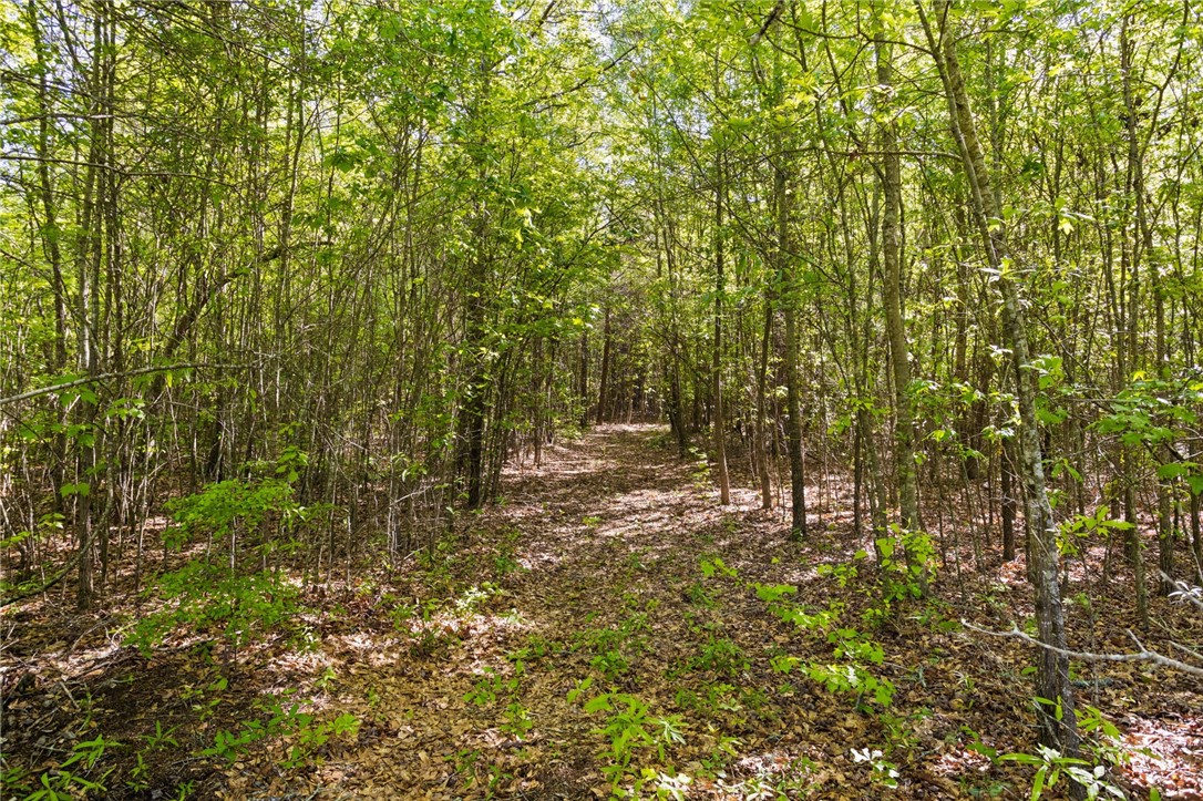 271 Chapman Grove Road Pelzer, SC 29669 - Photo 11 of 26