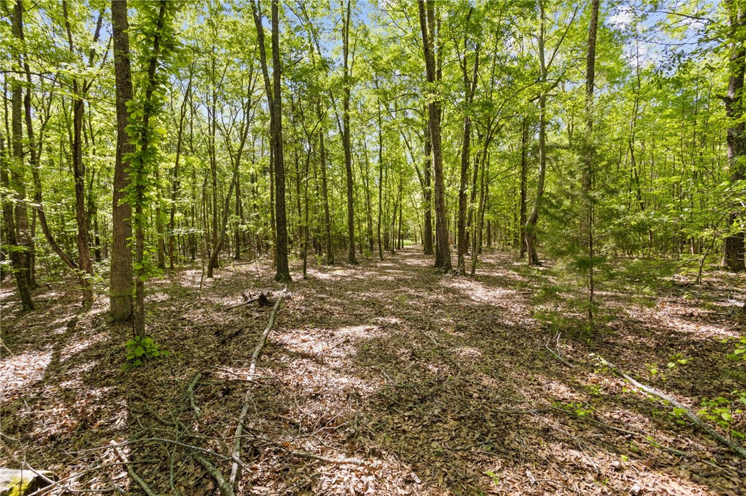 271 Chapman Grove Road Pelzer, SC 29669 - Photo 14 of 26