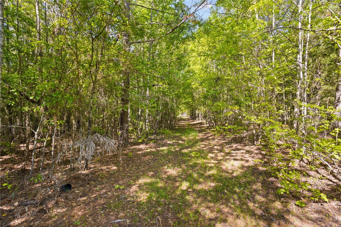 271 Chapman Grove Road Pelzer, SC 29669 - Photo 16 of 26