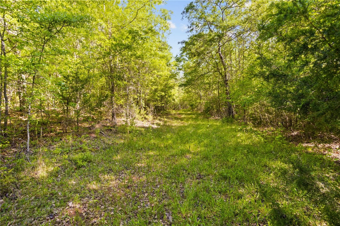 271 Chapman Grove Road Pelzer, SC 29669 - Photo 17 of 26