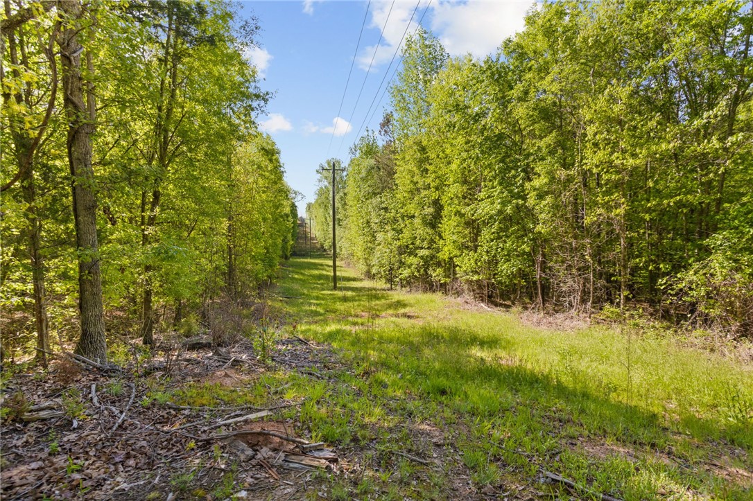 271 Chapman Grove Road Pelzer, SC 29669 - Photo 19 of 26