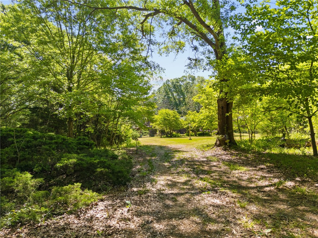271 Chapman Grove Road Pelzer, SC 29669 - Photo 24 of 26