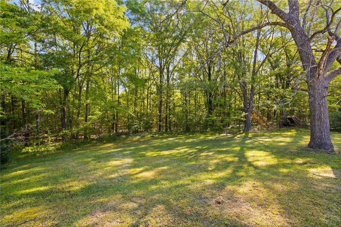 271 Chapman Grove Road Pelzer, SC 29669 - Photo 3 of 26