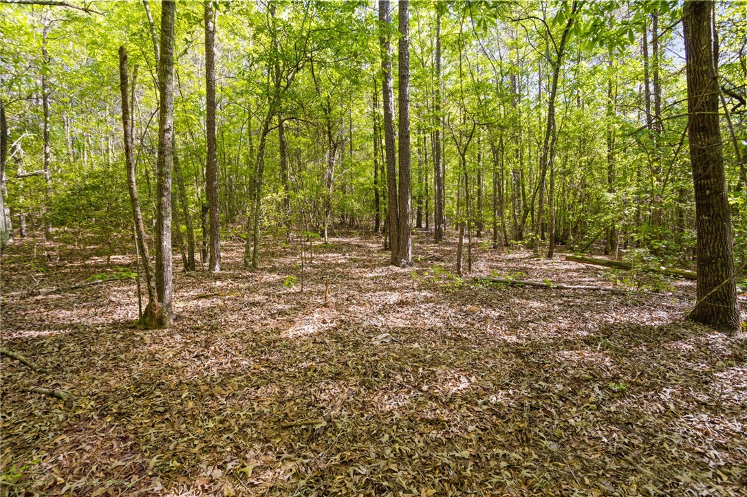 271 Chapman Grove Road Pelzer, SC 29669 - Photo 4 of 26