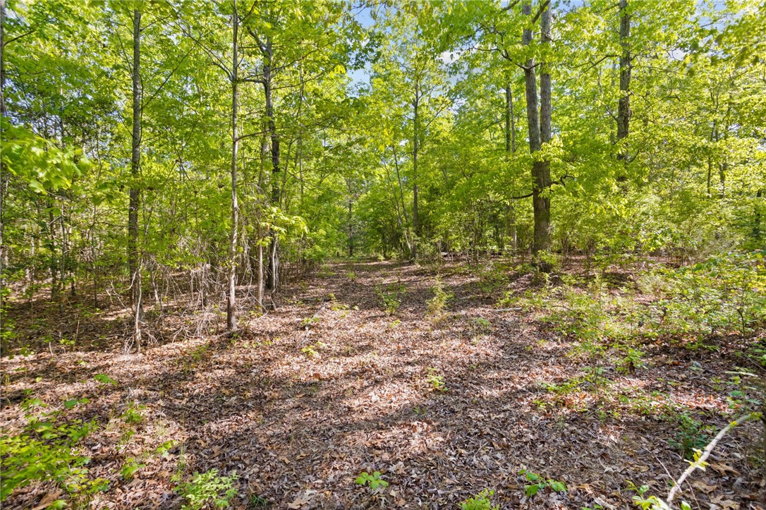 271 Chapman Grove Road Pelzer, SC 29669 - Photo 5 of 26