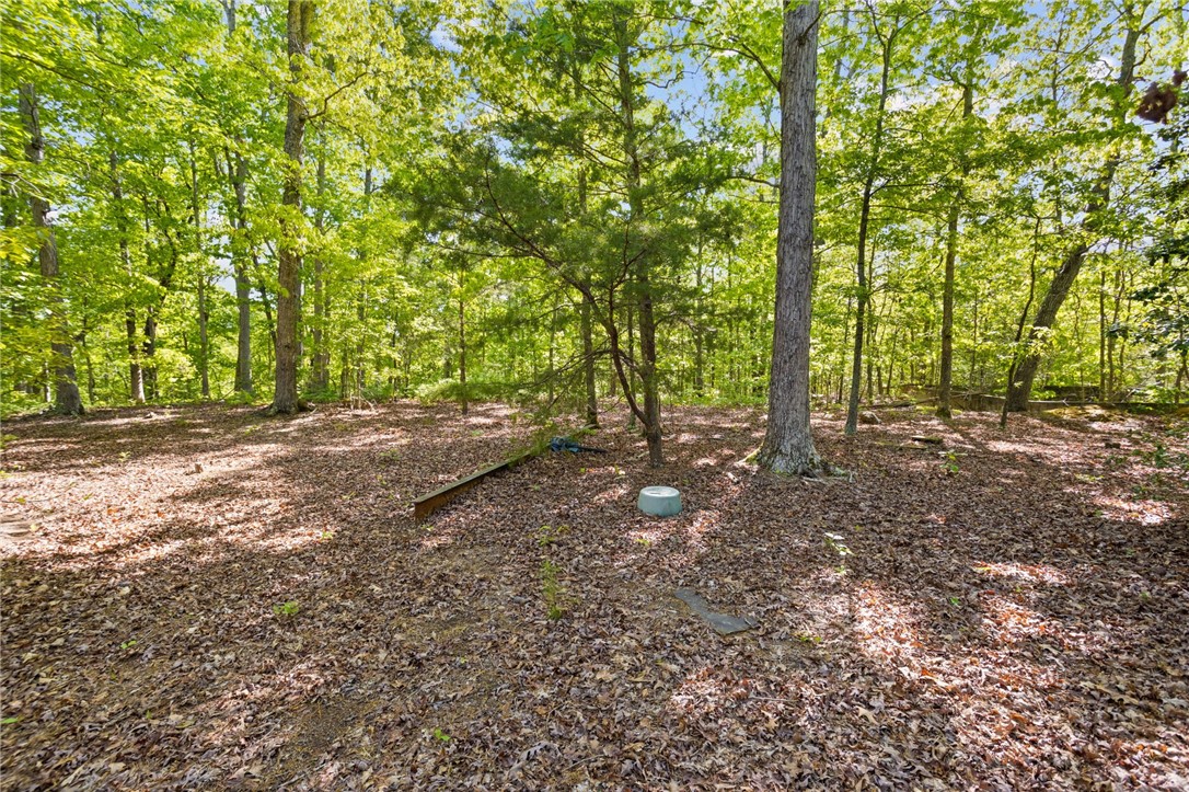 271 Chapman Grove Road Pelzer, SC 29669 - Photo 6 of 26