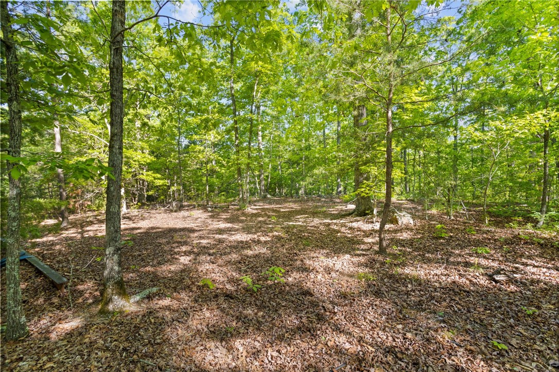 271 Chapman Grove Road Pelzer, SC 29669 - Photo 8 of 26