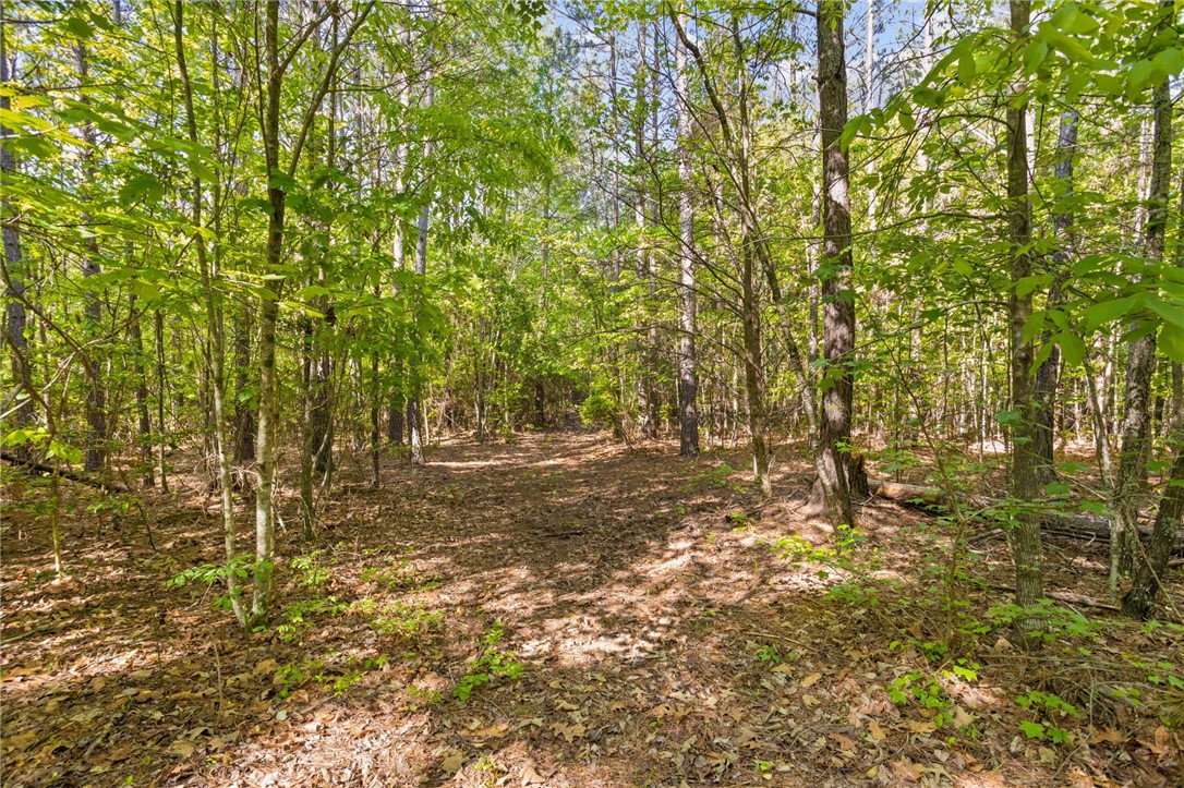271 Chapman Grove Road Pelzer, SC 29669 - Photo 9 of 26