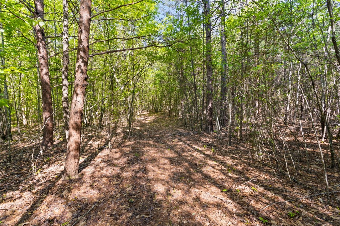 271 Chapman Grove Road Pelzer, SC 29669 - Photo 10 of 26