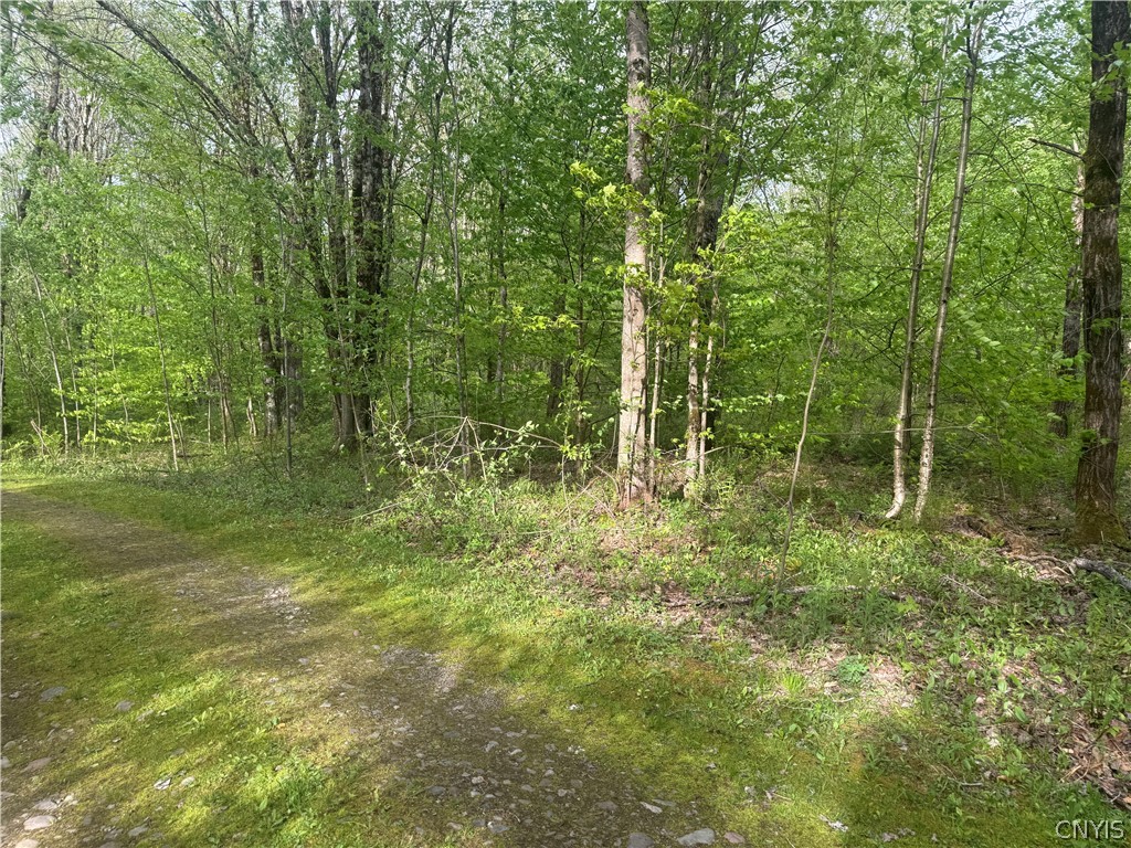 Lot #9 Lost Ridge Road, Unit 9 Camden, NY 13316 - Photo 10 of 27