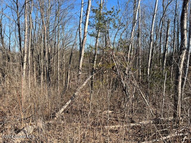 1171 Maple Hill, Vacant Land
