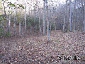 24 Line Runner Lake Road Rosman, NC 28772 - Photo 1 of 8 Gallery Image 1