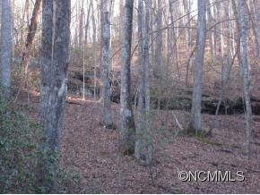 24 Line Runner Lake Road Rosman, NC 28772 - Photo 3 of 8 Gallery Image 3