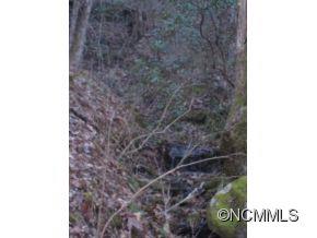 24 Line Runner Lake Road Rosman, NC 28772 - Photo 5 of 8 Gallery Image 5
