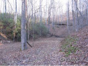 24 Line Runner Lake Road Rosman, NC 28772 - Photo 6 of 8 Gallery Image 6