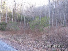 24 Line Runner Lake Road Rosman, NC 28772 - Photo 7 of 8 Gallery Image 7