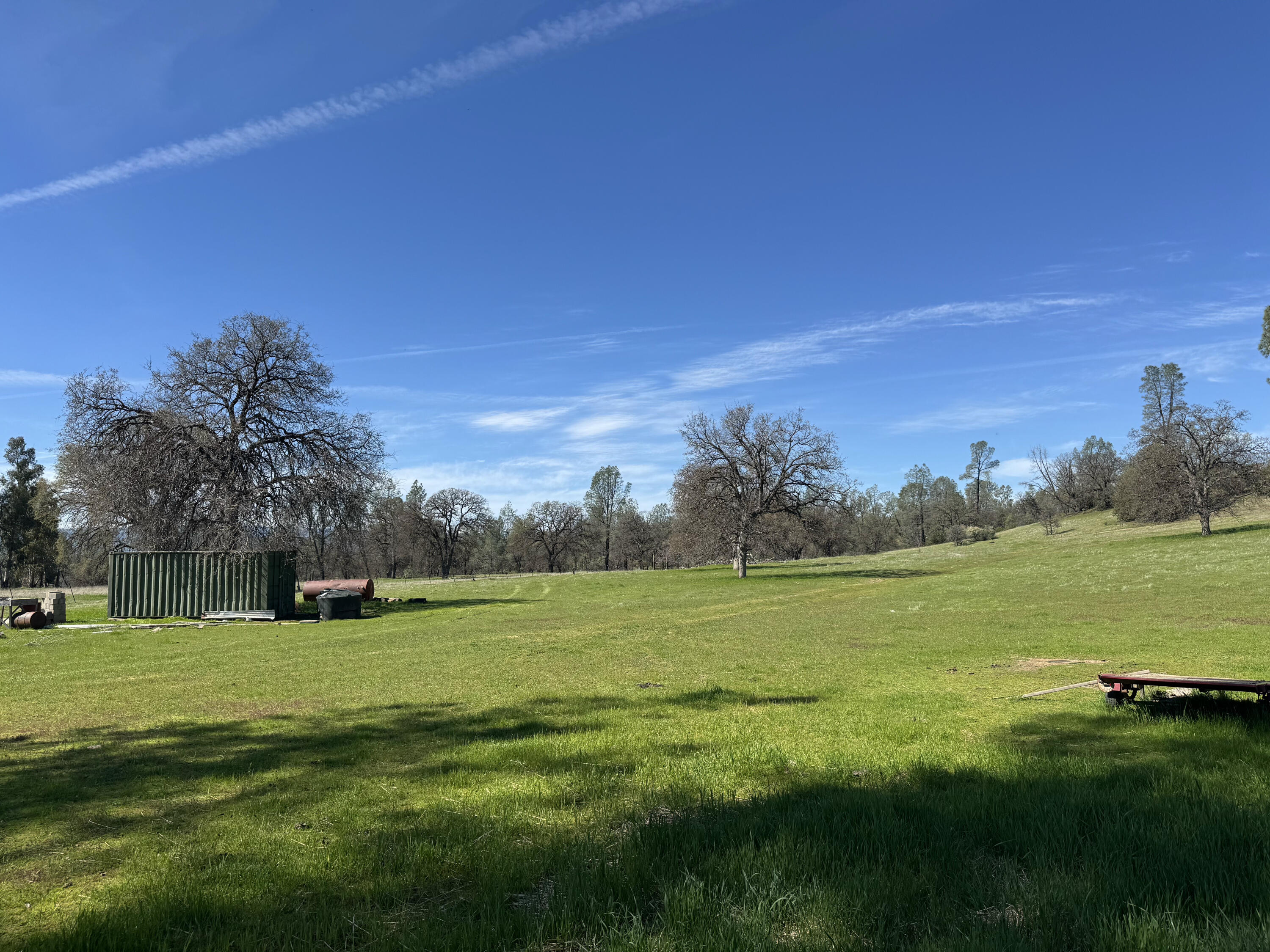 Vassar Road Red Bluff, CA 96080 - Photo 11 of 24 South pasture with shipping container