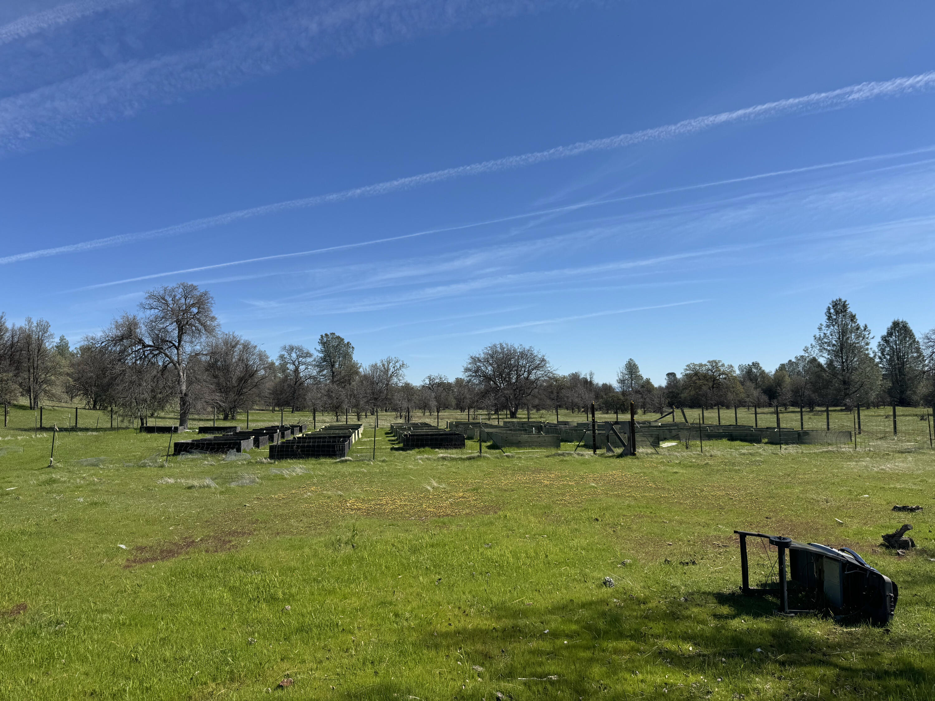 Vassar Road Red Bluff, CA 96080 - Photo 12 of 24 IMG_1299