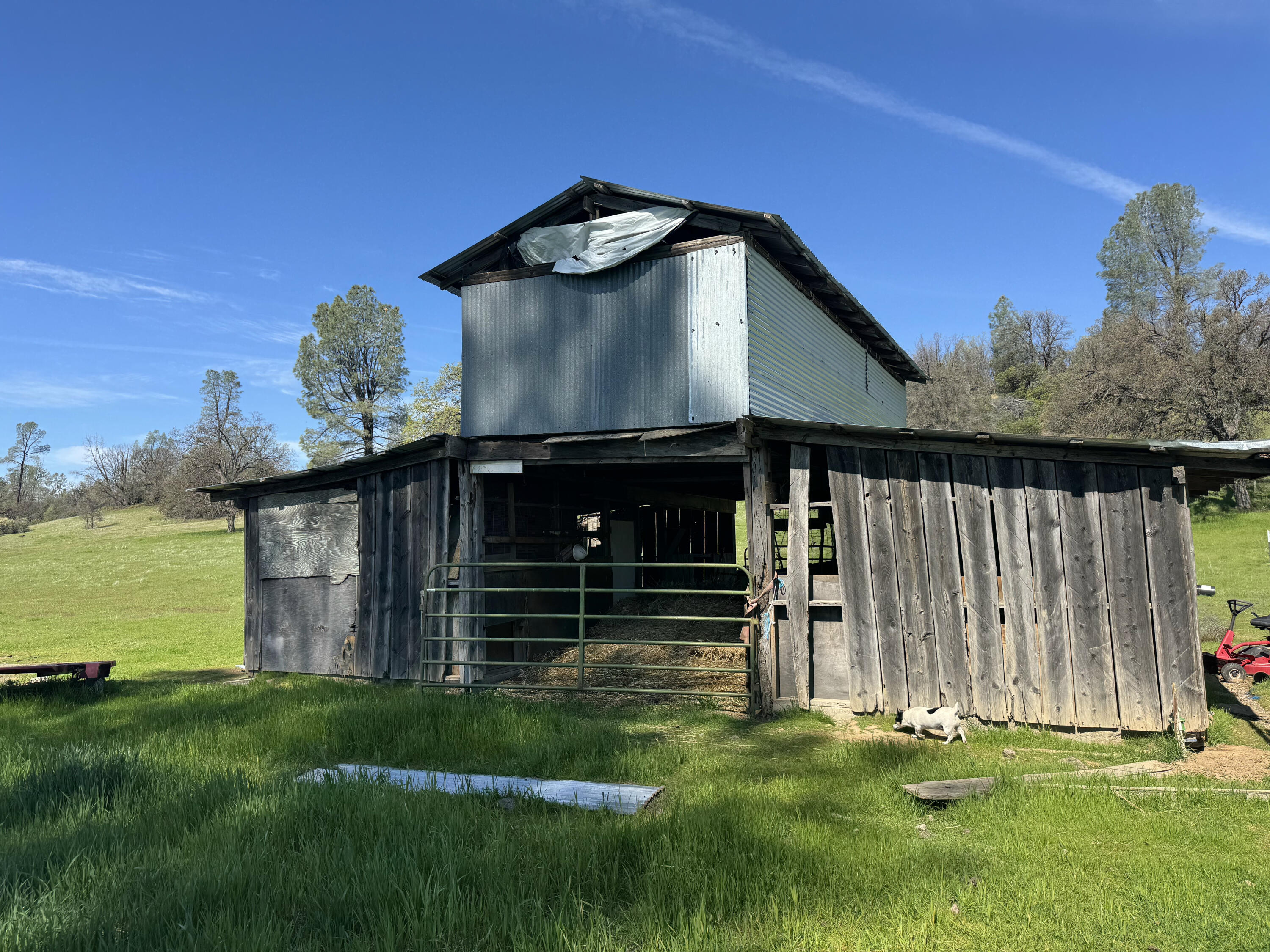 Vassar Road Red Bluff, CA 96080 - Photo 13 of 24 barn