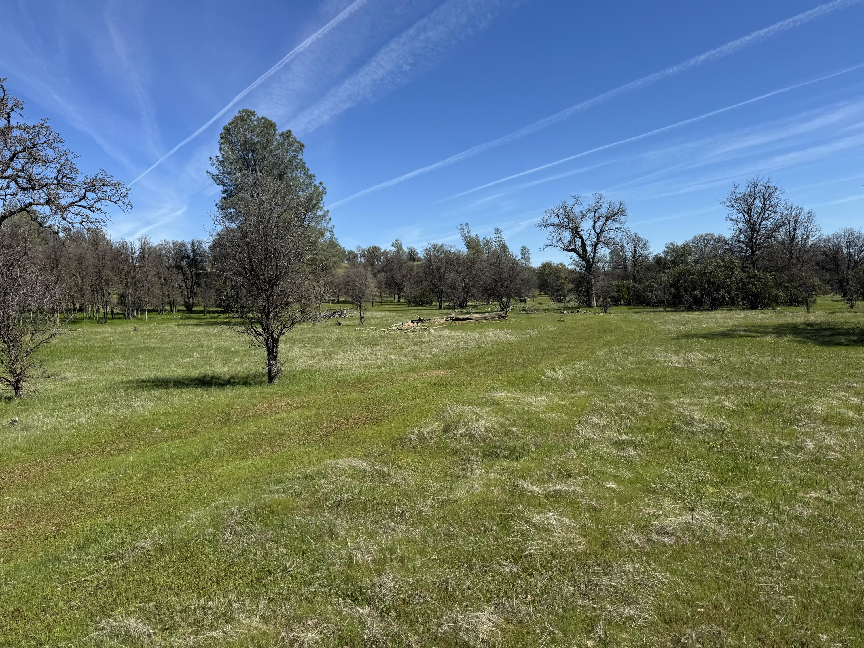 Vassar Road Red Bluff, CA 96080 - Photo 14 of 24 South flat pasture