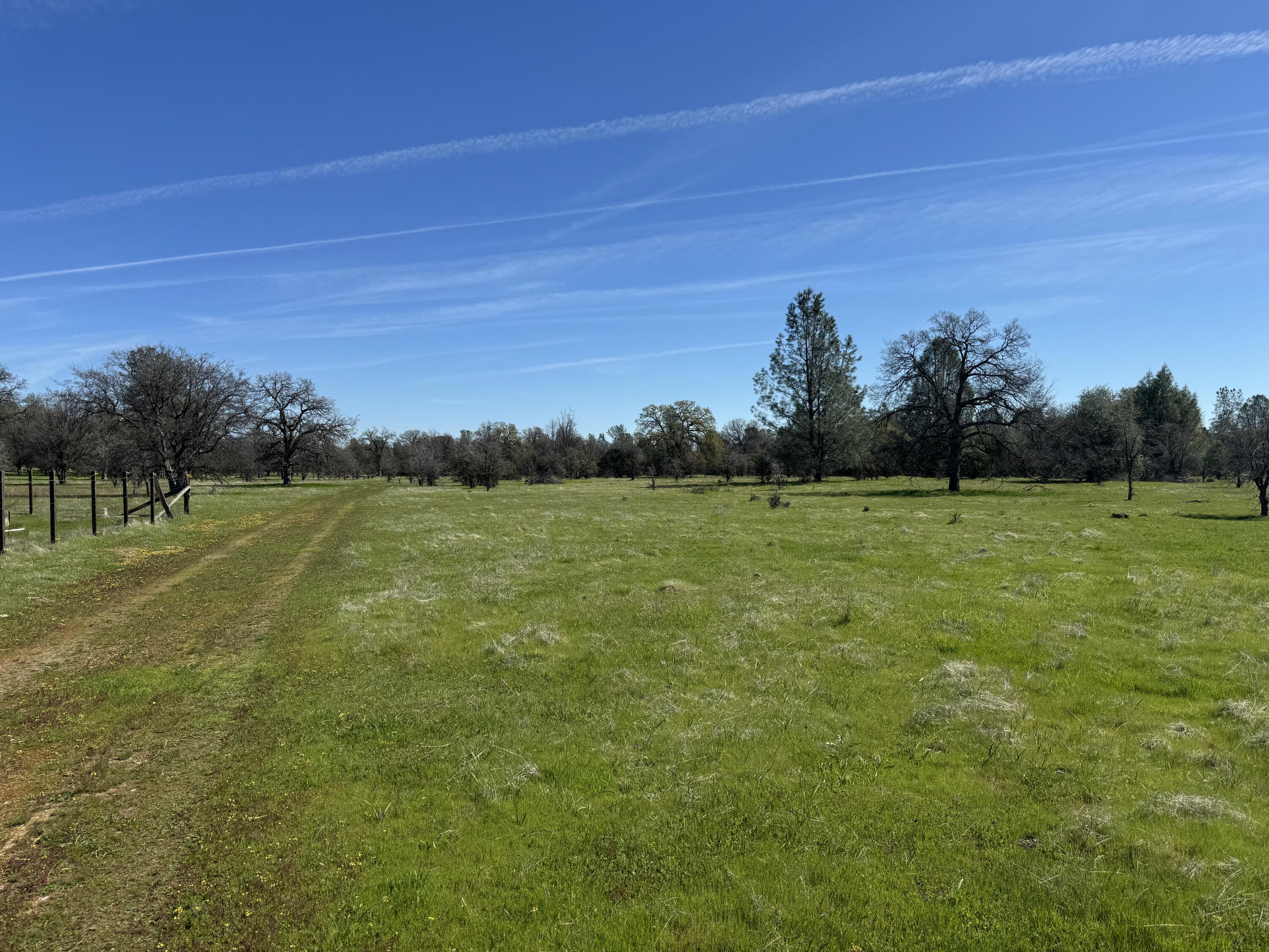 Vassar Road Red Bluff, CA 96080 - Photo 15 of 24 more south pasture