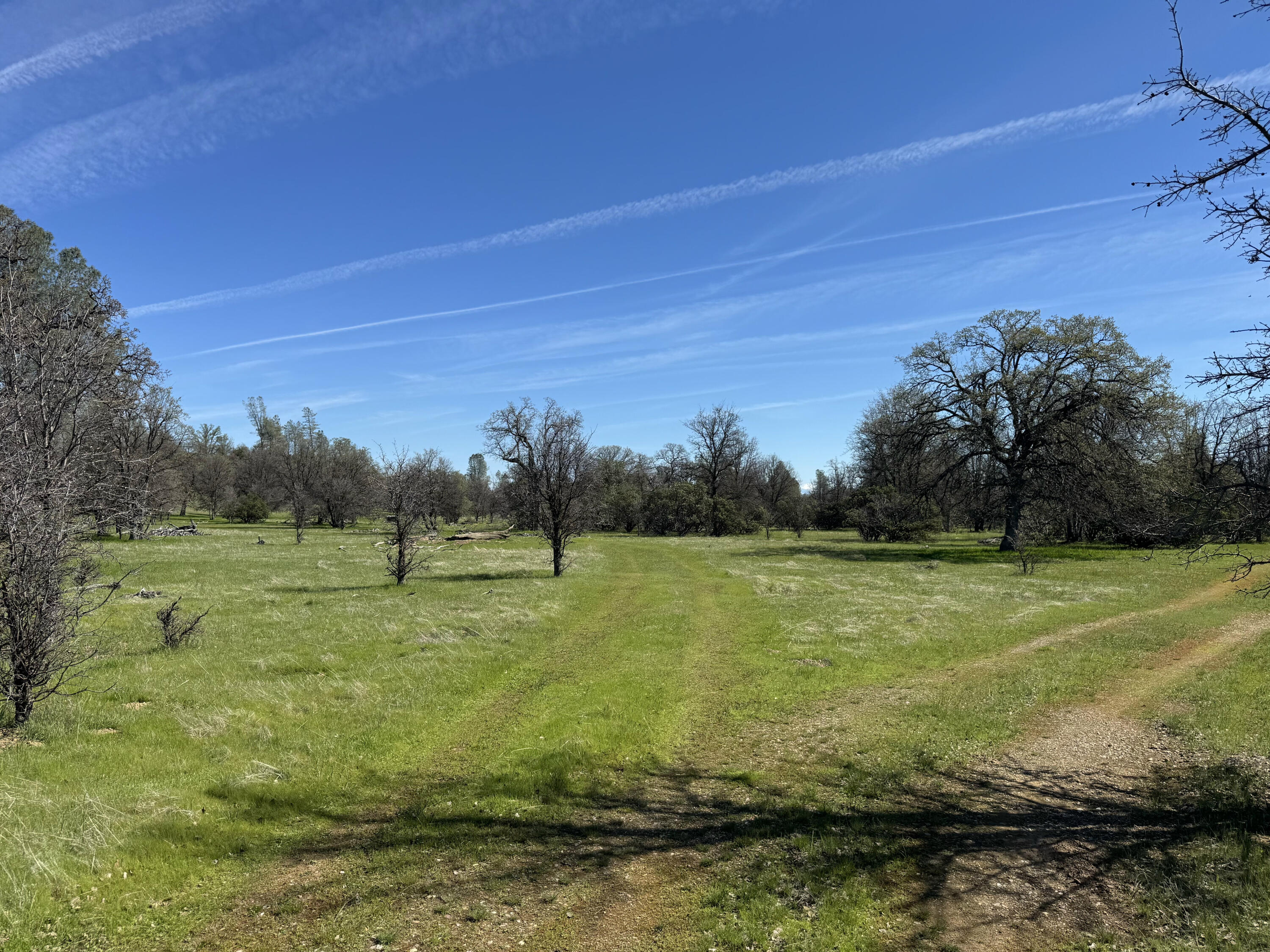 Vassar Road Red Bluff, CA 96080 - Photo 16 of 24 south pasture/old river bed