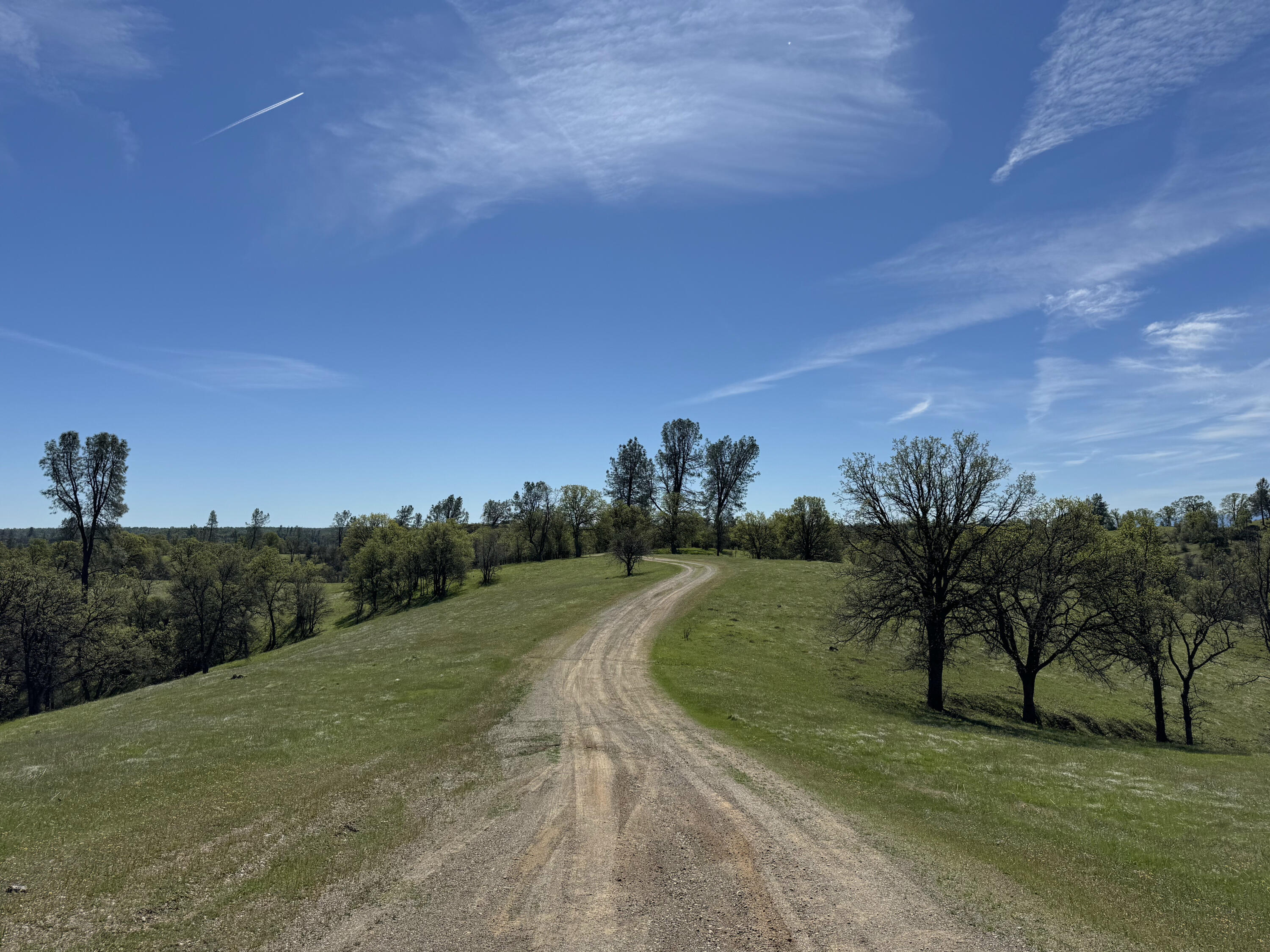 Vassar Road Red Bluff, CA 96080 - Photo 2 of 24 IMG_1313