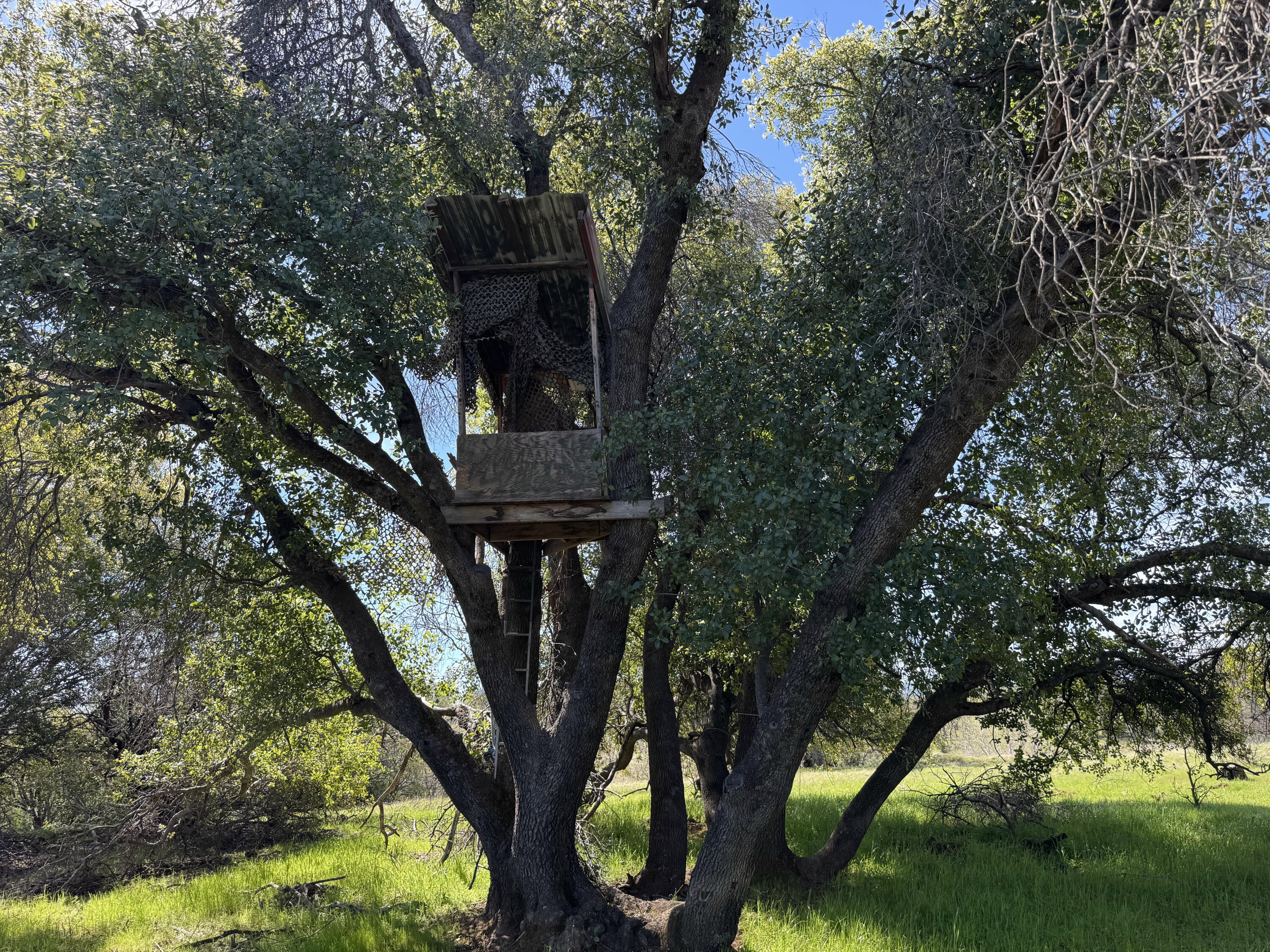 Vassar Road Red Bluff, CA 96080 - Photo 24 of 24 Hunting stand