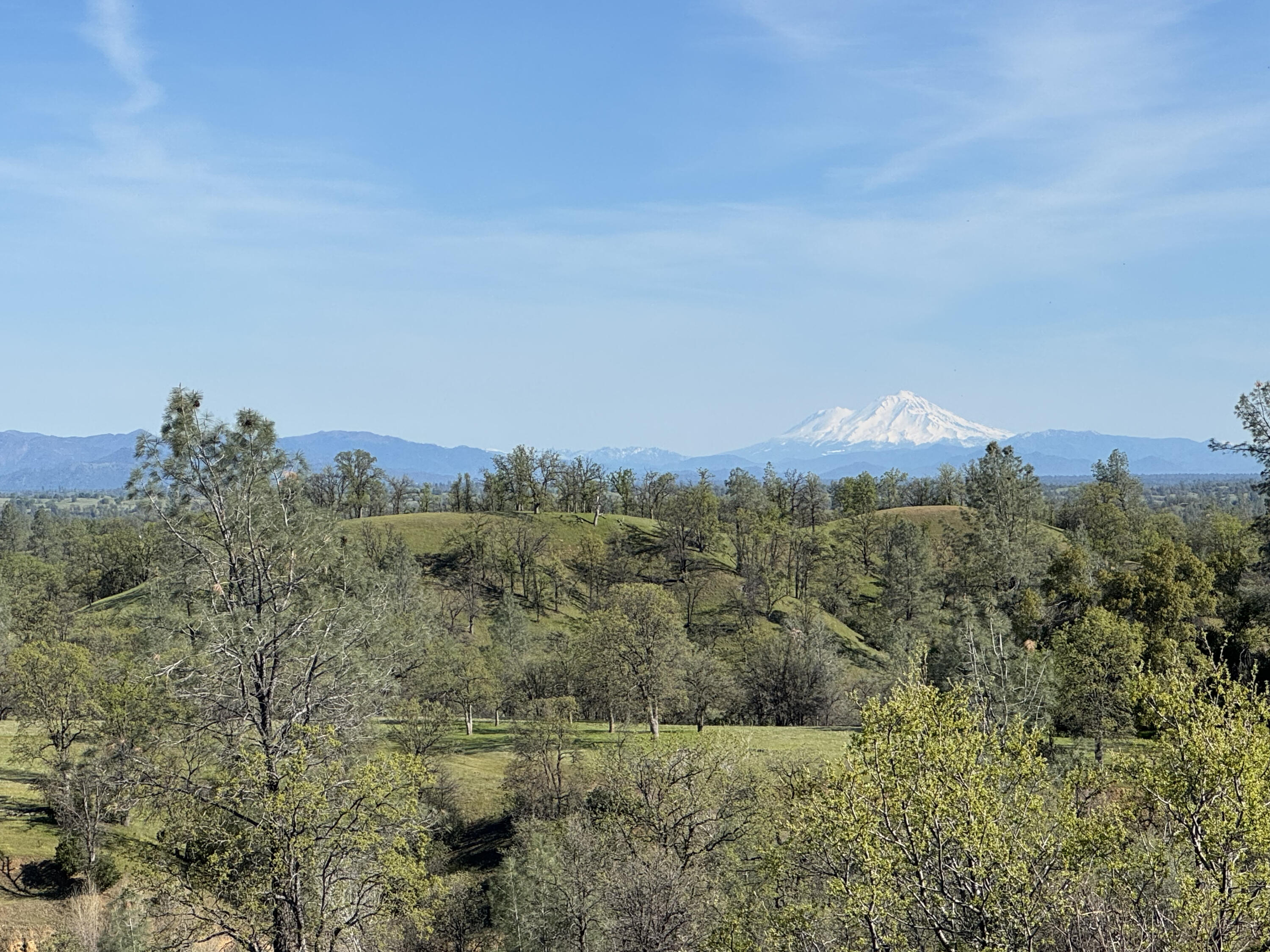 Vassar Road Red Bluff, CA 96080 - Photo 3 of 24 IMG_1276