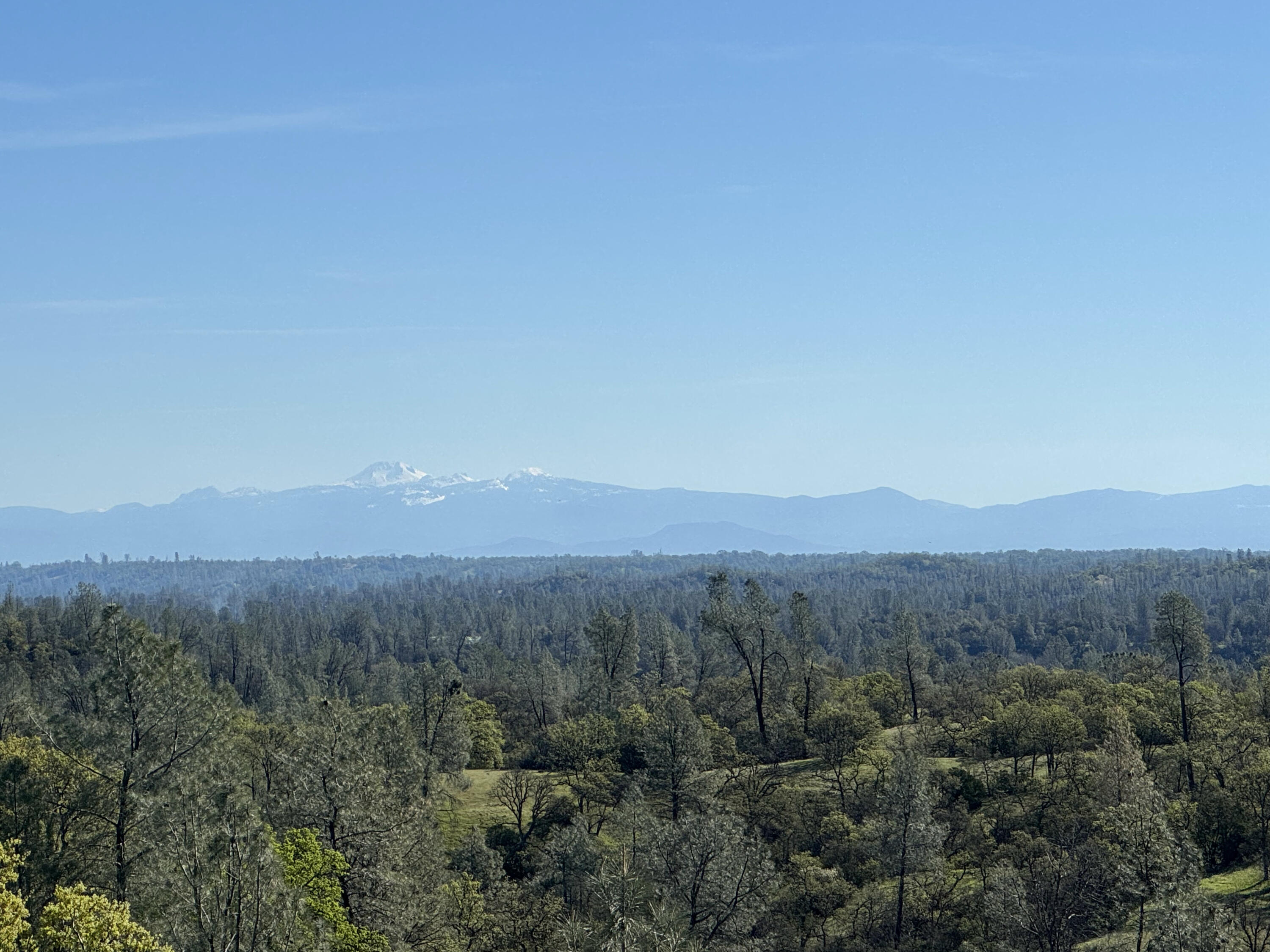 Vassar Road Red Bluff, CA 96080 - Photo 4 of 24 IMG_1279