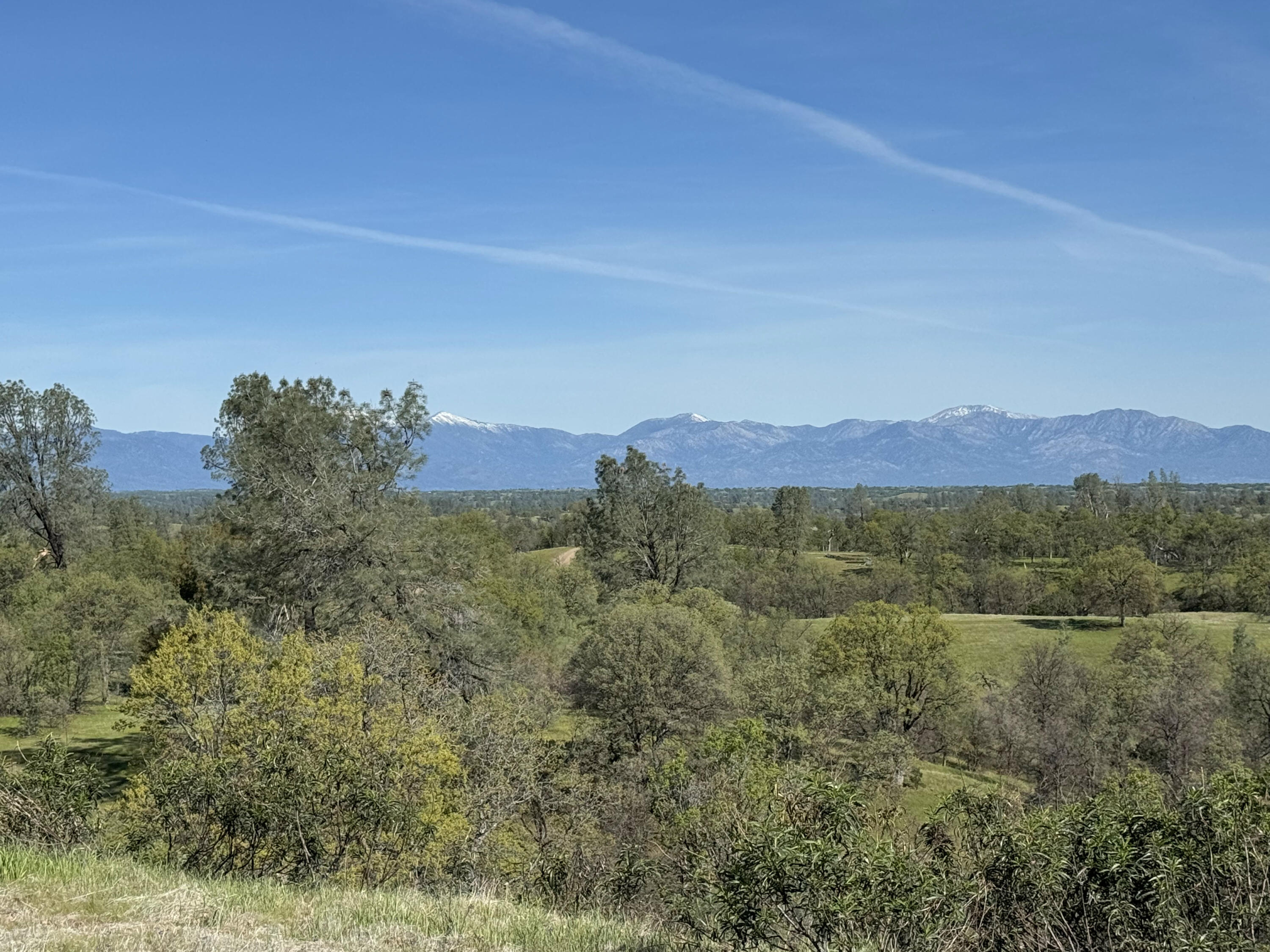 Vassar Road Red Bluff, CA 96080 - Photo 5 of 24 IMG_1277