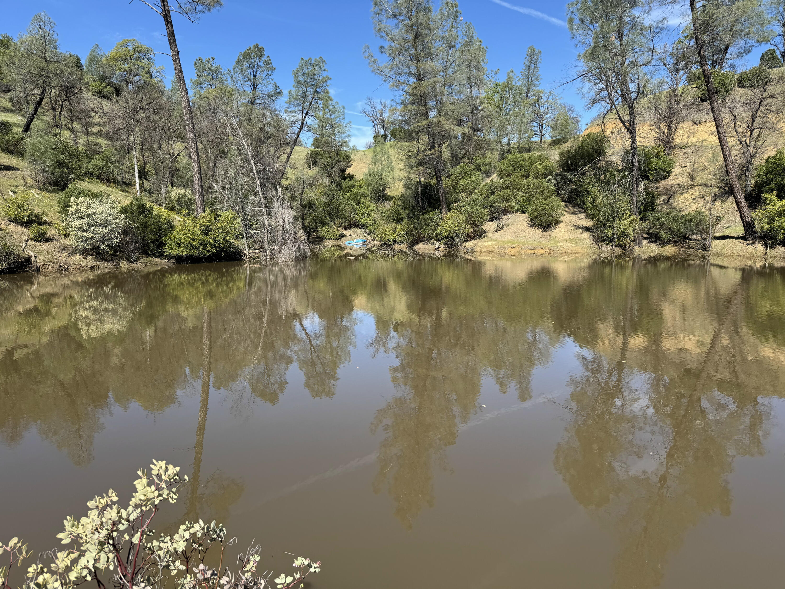 Vassar Road Red Bluff, CA 96080 - Photo 10 of 24 IMG_1294