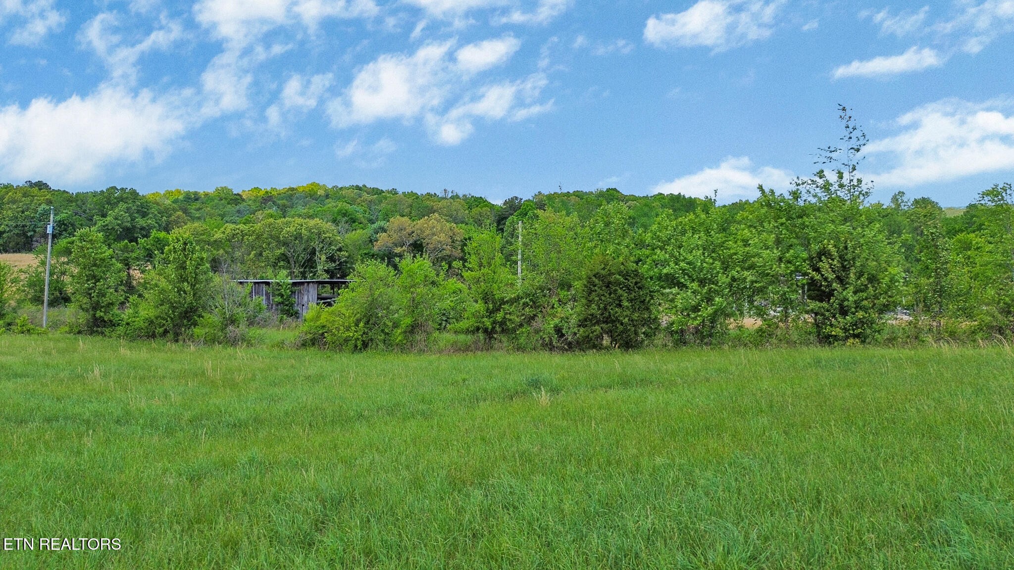515 Trentham Road Spring City, TN 37381 - Photo 14 of 14 Gallery Image 14