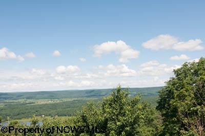 341 Valley View Road Davis, WV 26260 - Photo 4 of 20 Gallery Image 4
