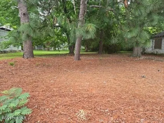 $20,000 | 1115 Hargrove Street, Rocky Mount, NC 27801