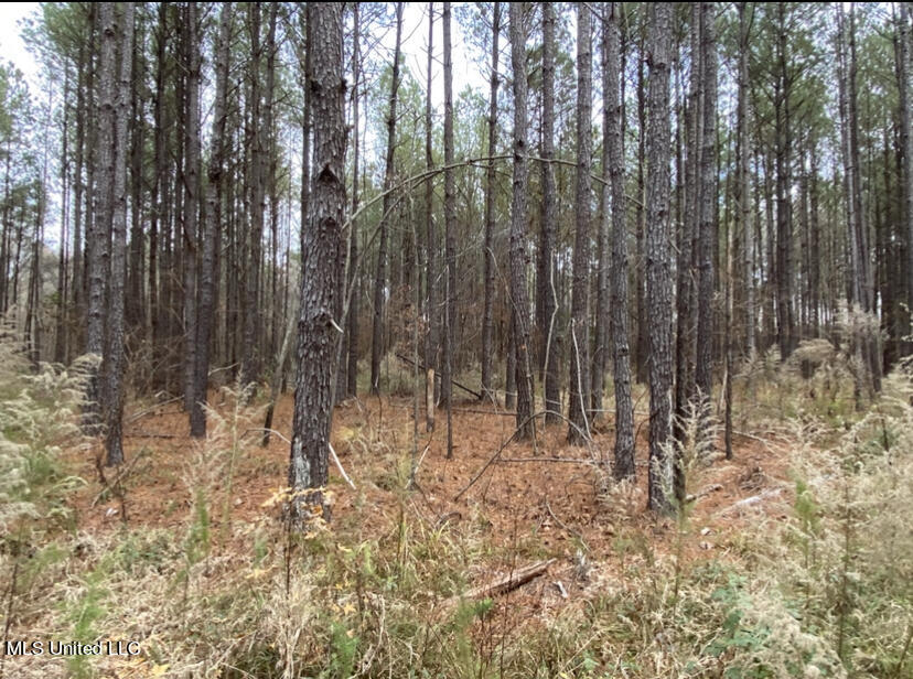 9+/- Acres