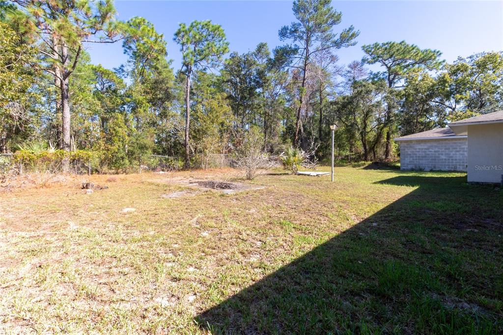 6447 Brandy Drive Spring Hill, FL 34607 - Photo 7 of 25