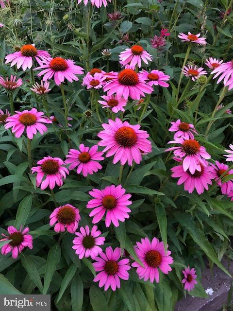 1343 Penns Creek Road Coburn, PA 16832 - Photo 61 of 92