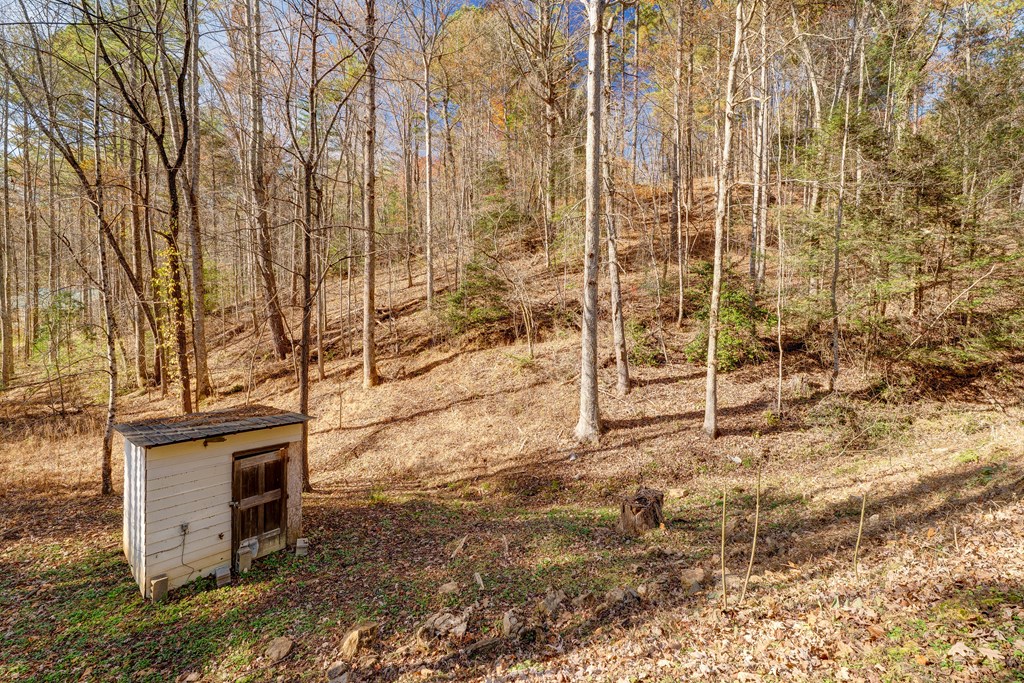 104 Nugget Lane Ellijay, GA 30540 - Photo 31 of 36 a view of a backyard of the house