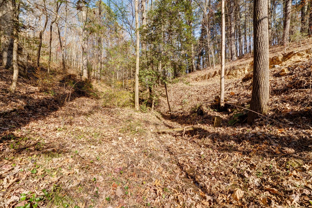 104 Nugget Lane Ellijay, GA 30540 - Photo 32 of 36 a view of a backyard of the house