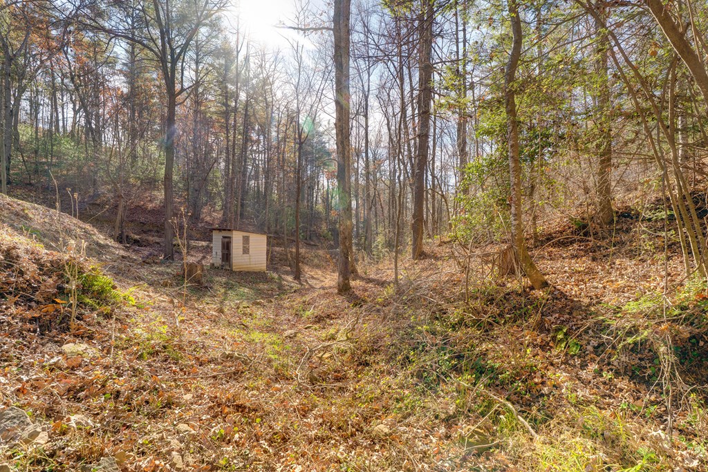 104 Nugget Lane Ellijay, GA 30540 - Photo 33 of 36 a view of outdoor space with trees