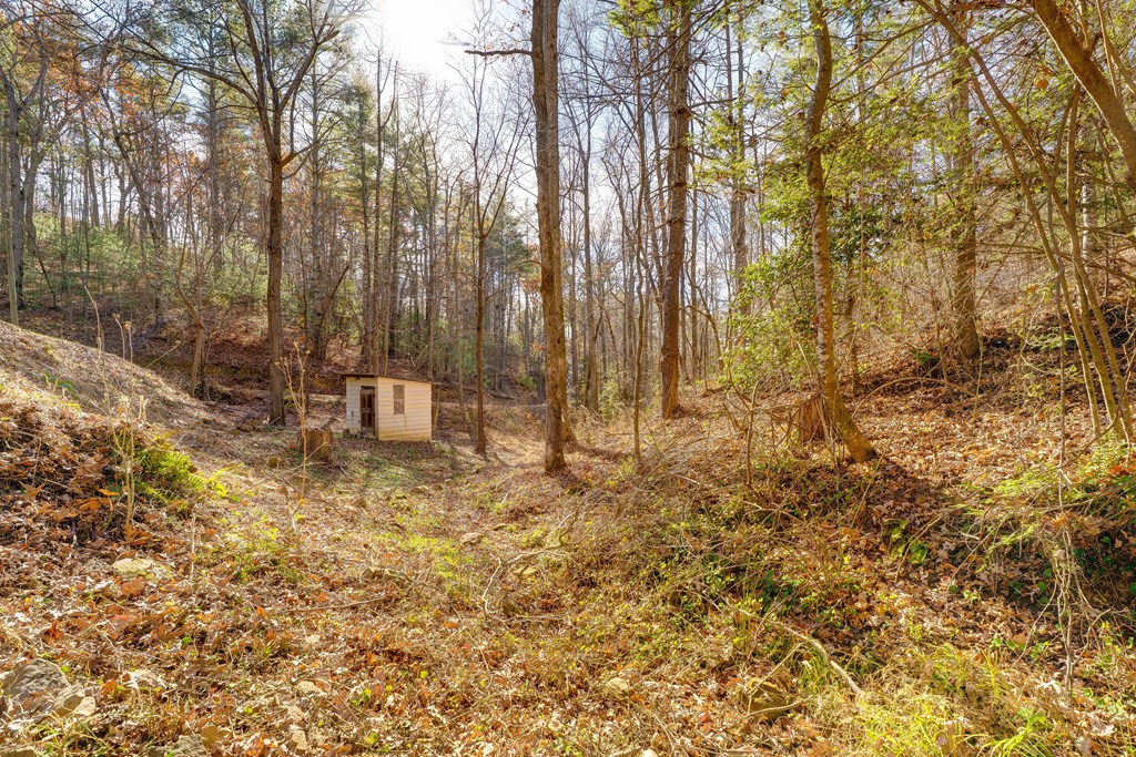 104 Nugget Lane Ellijay, GA 30540 - Photo 34 of 36 a view of outdoor space with trees