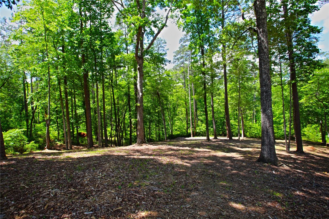 Lot 114 Harbor Point Seneca, SC 29672 - Photo 10 of 46 A tranquil wooded lot offers a peaceful retreat for your future home.