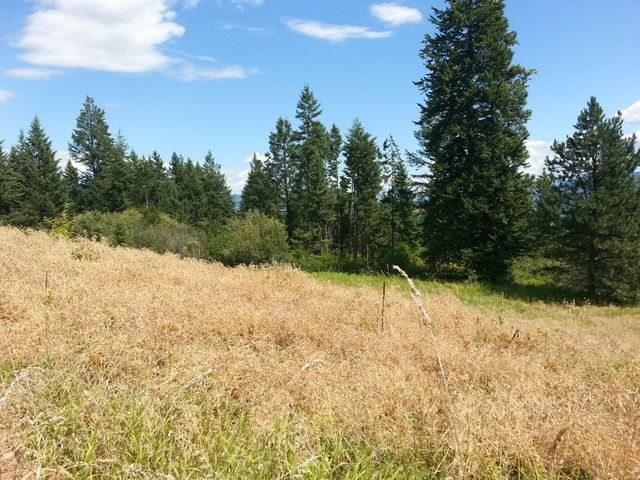 3378 G Hill Loop Road Kettle Falls, WA 99141 - Photo 1 of 2 Gallery Image 1