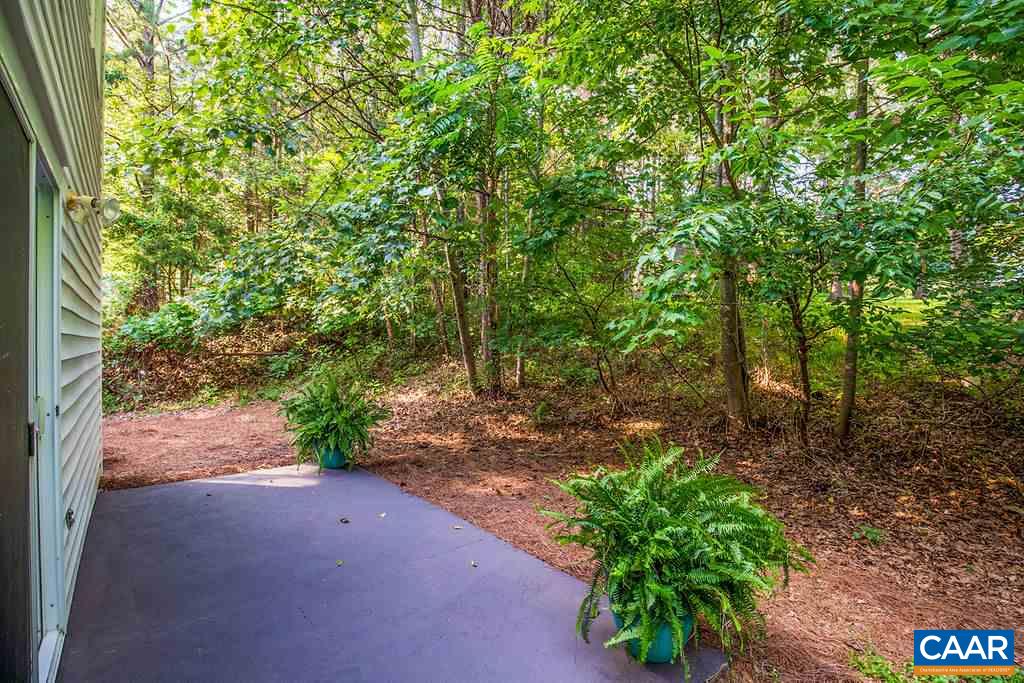 371 West Daffodil Road Ruckersville, VA 22968 - Photo 8 of 31 a backyard of a house with lots of green space