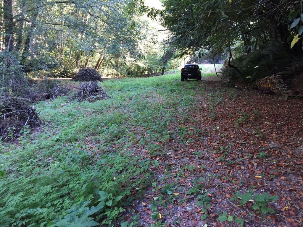0 Puddin Lane Hydesville, CA 95547 - Photo 13 of 15