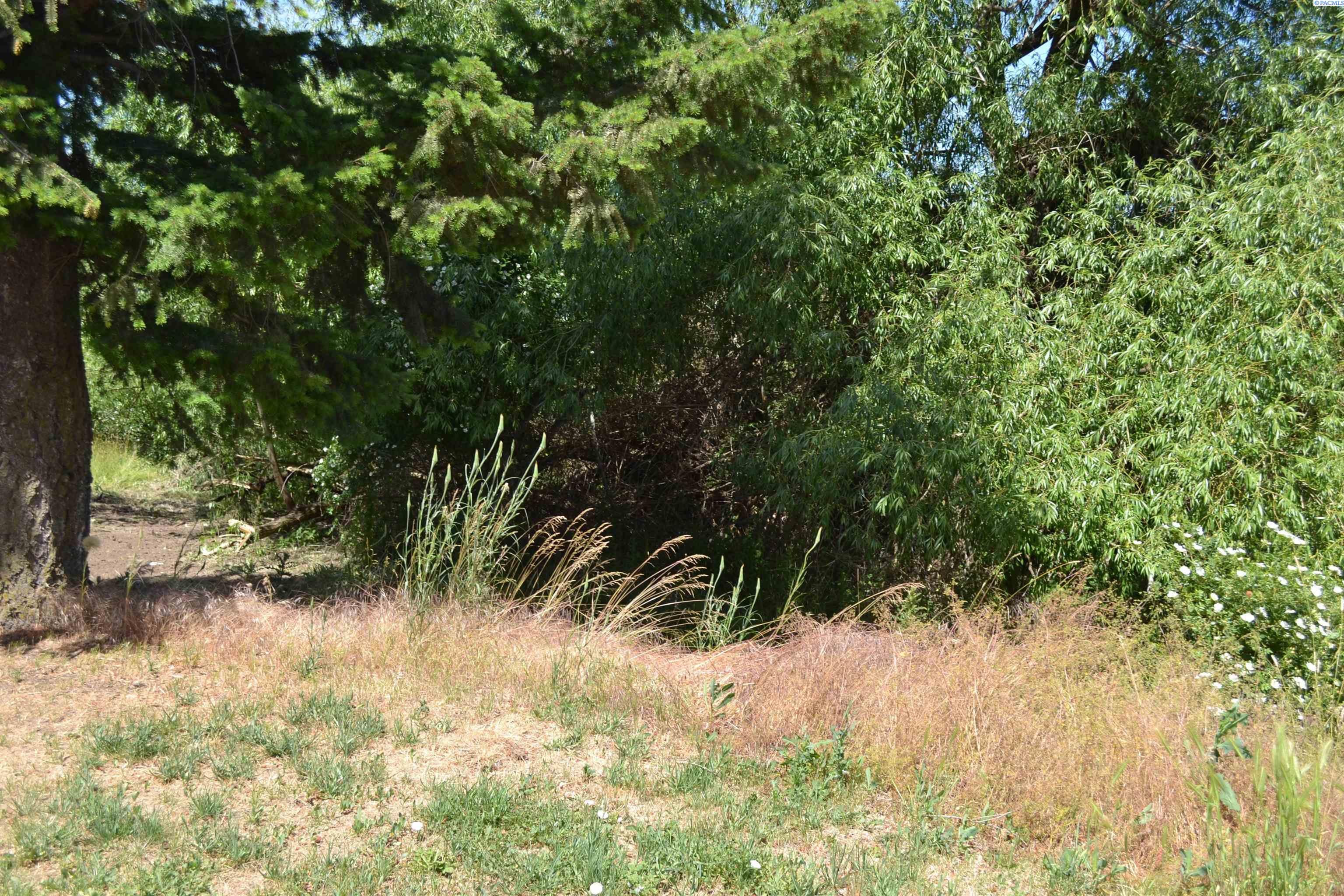 2201 Kitzmiller Road Pullman, WA 99163 - Photo 37 of 49 Gallery Image 37