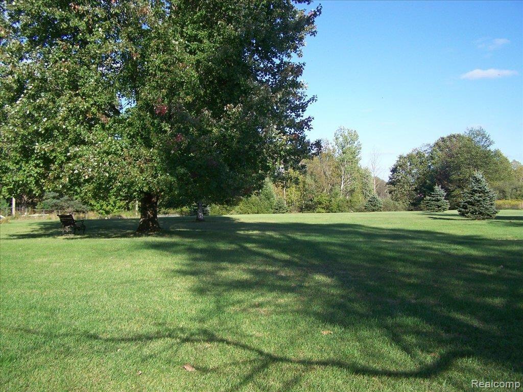 16775 Arnold Road Gregory, MI 48137 - Photo 13 of 14 VIEW OF BACK PROPERTY