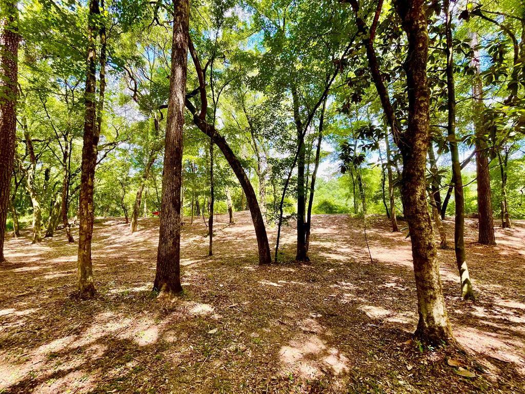 0 Grove Road Hartford, AL 36344 - Photo 13 of 30 Gallery Image 13