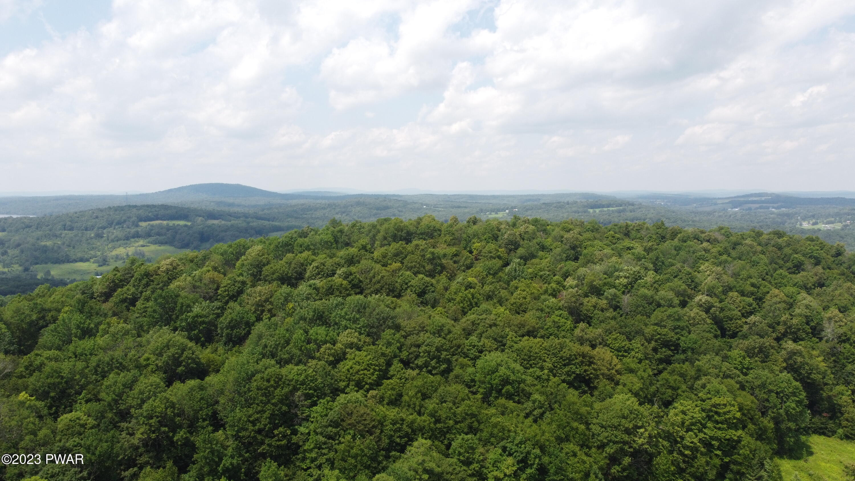 Schuman Road Damascus, PA 18415 - Photo 10 of 19